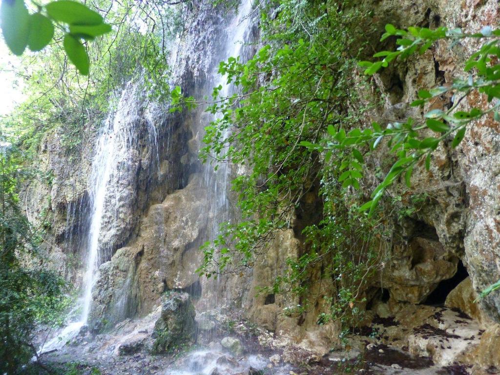 La Fusteria Del Casat Daire Sarroca de Bellera Dış mekan fotoğraf
