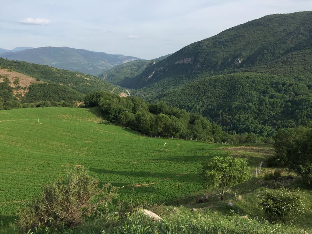La Fusteria Del Casat Daire Sarroca de Bellera Dış mekan fotoğraf
