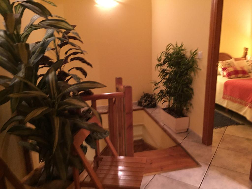 La Fusteria Del Casat Daire Sarroca de Bellera Dış mekan fotoğraf